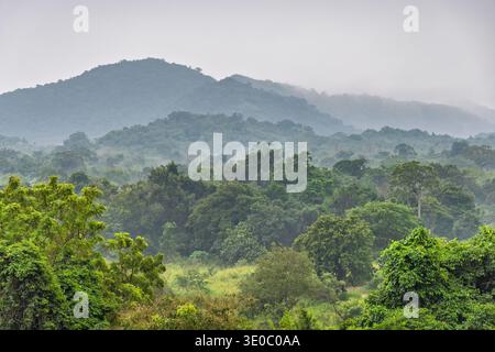 Misty Morning View sur une forêt tropicale luxuriante et verdoyante et Rolling Hills, paysage naturel serein. Hurulu Eco Park Safari au Sri Lanka. Banque D'Images