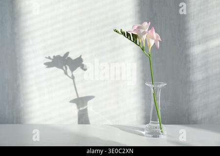 Belle fleur freesia en vase sur table lumineuse à l'intérieur. Espace pour le texte Banque D'Images