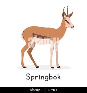 Springbok illustration vectorielle, personnage clipart de bande dessinée, animal dans le style plat. Animaux sauvages, créatures sauvages, concept de faune Illustration de Vecteur