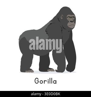 Illustration vectorielle gorille argentée, personnage clipart de bande dessinée, animal dans un style plat. Animaux sauvages, créatures sauvages, concept de faune Illustration de Vecteur