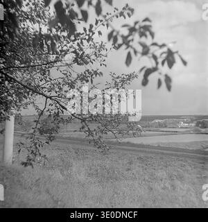 Photographie de paysage vintage en noir et blanc des années 1970 mettant en valeur les vastes étangs géométriques d'élevage de poissons du Donrybkombinat dans le quartier de Sloviansk. La vue panoramique présente d'énormes réservoirs artificiels clairement divisés par des barrages en terre, encadrés par un feuillage naturel, avec un peuplement rural et des structures industrielles visibles à l'horizon lointain. Ce panorama calme illustre parfaitement l'ampleur impressionnante du génie agricole soviétique, de la gestion de l'eau et du développement rural dans un Donbass pacifique avant la guerre. Banque D'Images