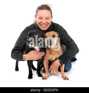 Staffordshire Bull Terrier et woman in front of white background Banque D'Images