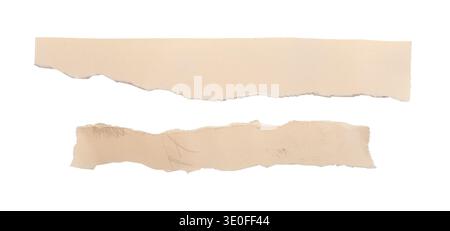 bandes de papier déchirées isolées sur fond blanc. Pièce déchirée, fragments longs avec bords irréguliers déchirés et désordonnés Banque D'Images
