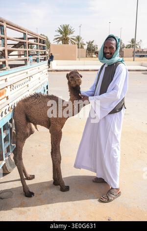 Au grand marché de chameaux de Buraida / Buraydah, Arabie Saoudite Banque D'Images