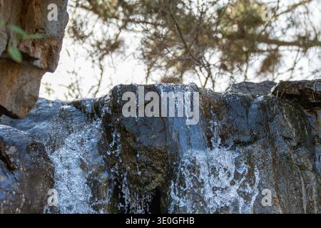 Des cascades d'eau claire sur des roches naturelles sombres formant une petite cascade dans un jardin paysager. L'eau qui coule crée une atmosphère paisible et rafraîchissante Banque D'Images