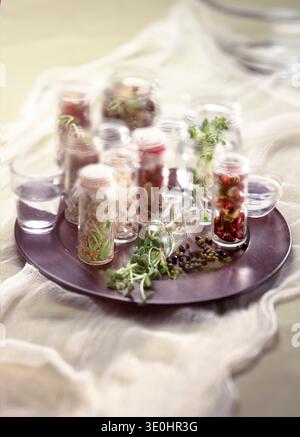 Une collection organisée de germes de haricots mungo et de radis dans des bocaux en verre artisanaux. Une histoire botanique technique de germination, de vitalité et de slow living. Banque D'Images