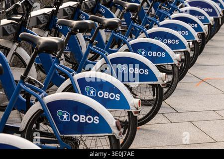 Oslo, Norvège - 19 novembre 2022 : vélos à louer garés dans une longue rangée Banque D'Images
