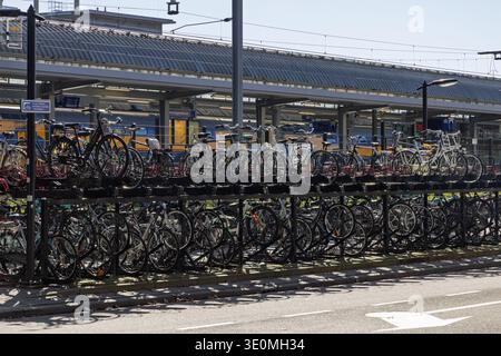 Grand porte-vélos à plusieurs niveaux plein de vélos près de la gare centrale de Den Bosch, aux pays-Bas, une scène typique de la ville hollandaise. 'S-Hertogen Banque D'Images