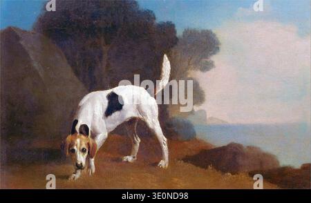 Cette peinture à l'huile du XVIIIe siècle de George Stubbs, intitulée 'Foxhound', représente un foxhound tacheté blanc et brun dans une position basse et alerte, possiblement parfumant quelque chose. La représentation détaillée du chien est placée dans un paysage sombre avec des arbres et un aperçu de l'eau en arrière-plan, caractéristique des portraits d'animaux de Stubbs. Banque D'Images