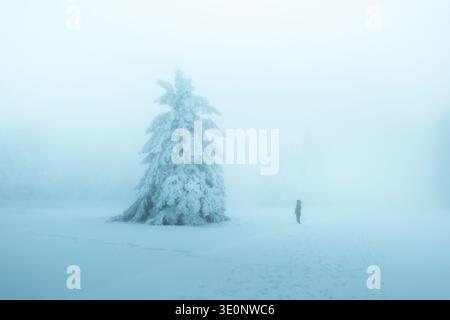 Vue d'une figure solitaire debout près d'un pin chargé de neige dans un paysage entouré d'un brouillard dense et éthéré, Bellefosse, Grand est, France. Banque D'Images