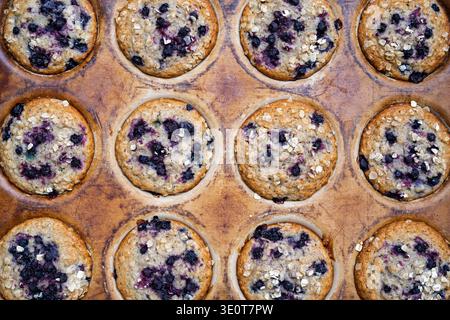 Muffins à l'avoine aux myrtilles fraîchement cuits dans une boîte à muffins vintage Banque D'Images
