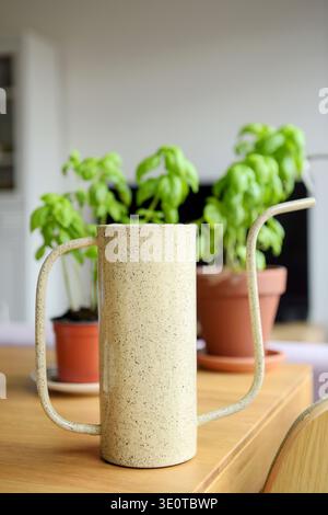 Arrosoir métallique pour l'entretien des plantes d'intérieur Banque D'Images