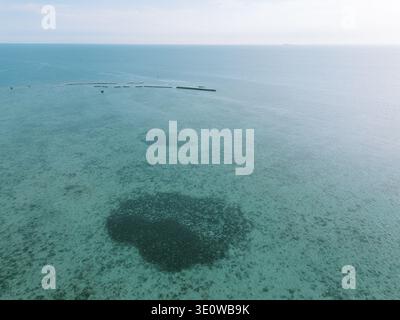 Une prise de vue aérienne révèle les eaux turquoises cristallines d'un océan tropical, présentant des motifs complexes de récifs coralliens et des fonds marins peu profonds sous un cercle Banque D'Images