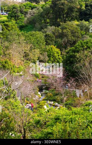 San Diego, CALIFORNIE, États-Unis. 13 mars 2026. Les visiteurs peuvent profiter d'une chaude journée de promenade saisonnière le long des sentiers et des ponts de pierre du jardin et musée de l'amitié japonaise dans le parc Balboa lors du festival annuel des cerisiers en fleurs. Les cerisiers roses fleurissent abondamment le long d'un ruisseau sinueux dans le canyon luxuriant de 12 hectares, célébrant la coutume japonaise traditionnelle du hanami. Le jardin animé, symbole vivant de l'amitié entre San Diego et sa ville sœur Yokohama, accueille les foules pour admirer près de deux cents arbres en fleurs. Crédit : Tosh Persons / Alamy Live News Banque D'Images