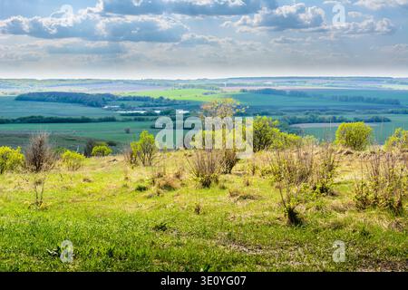Beau paysage spacieux sur les nuages de pluie, forêt, lac, champs et prairies du sommet de la montagne. Herbe fraîche et buissons sur le foroute Banque D'Images