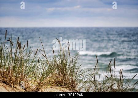 Scène côtière calme avec des dunes de sable avec de l'herbe et de douces vagues océaniques sous un ciel couvert Banque D'Images