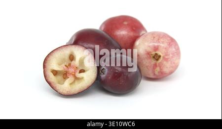 Image en gros plan de canneberges fraîches, mettant en évidence une vue en coupe transversale montrant des graines et des couleurs vives. Capturer l'essence des fruits naturels, pe Banque D'Images