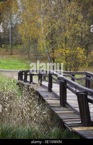 Une scène automnale paisible avec une passerelle en bois au milieu d'une forêt avec des arbres jaunes vibrants et un cadre paisible, parfait pour inspira en plein air Banque D'Images