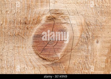 Gros plan de bois pâle altéré avec nœud central et texture de grain détaillée Banque D'Images