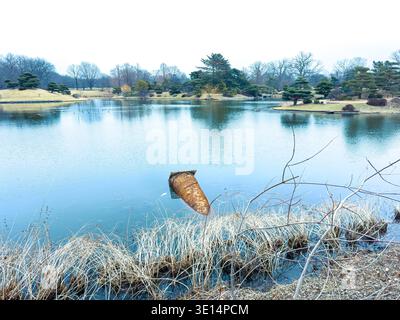 Les gens se promènent près d'un lac avec une eau calme reflétant les arbres et l'herbe. Le temps est nuageux, et la scène montre un parc calme en hiver. Banque D'Images