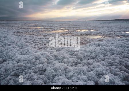 Cristaux de sel recouvrant la surface du rivage de la mer morte avec des bassins d'eau peu profonds et un ciel nuageux. Banque D'Images