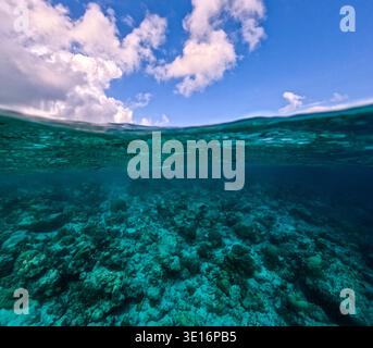 Vue divisée de la surface de l'océan montrant le ciel au-dessus et le récif corallien peu profond fond marin sous l'eau dans la mer tropicale claire. Banque D'Images