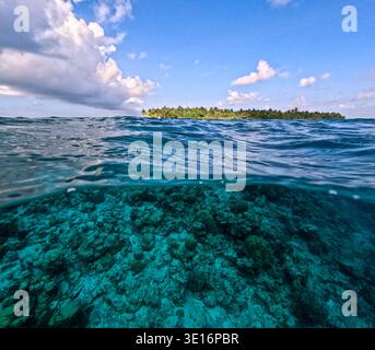 Vue sur l'océan à deux niveaux montrant le récif corallien sous-marin et une petite île tropicale avec des palmiers à l'horizon. Banque D'Images