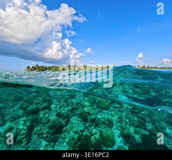 Vue sur l'océan sur deux niveaux montrant le récif corallien sous-marin et la côte tropicale de l'île avec des palmiers à l'horizon. Banque D'Images