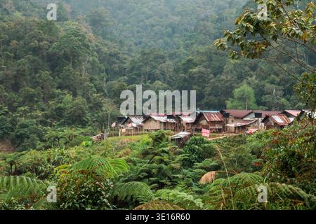Tanah Rata, Cameron Highlands, Malaisie – 27 janvier 2020 : maisons rurales sur une colline à la lisière de la forêt tropicale dense dans les Cameron Highlands. Banque D'Images