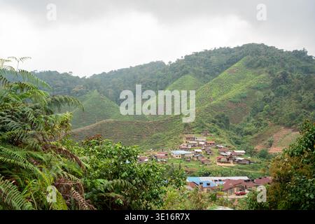 Tanah Rata, Cameron Highlands, Malaisie – 27 janvier 2020 : vue sur un village rural au pied de collines verdoyantes en terrasses. Banque D'Images