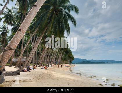 Coconut Beach à Port Barton, Palawan, Philippines, avec des palmiers penchés, rivage sablonneux et les visiteurs se relaxant au bord de la mer. Banque D'Images