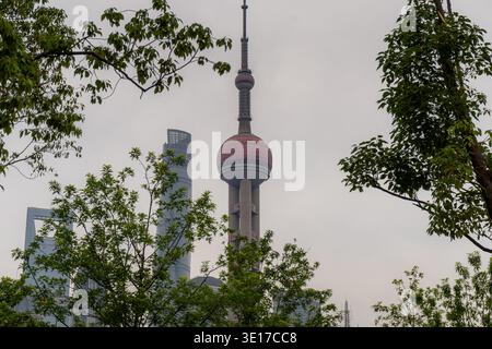 5 mai 2025, Shanghai, Chine : tour de perles orientales derrière les arbres à Shanghai Banque D'Images