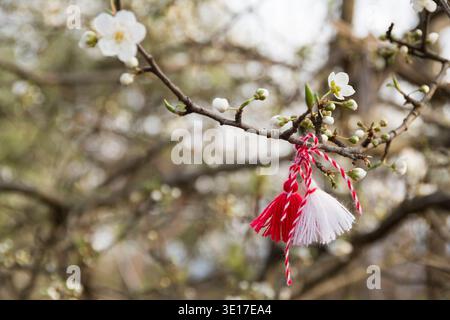 Tradition d'accueil du printemps en Bulgarie. Le 1er mars est appelé Baba Marta. Porter une martenitsa est un souhait de bonne santé. Banque D'Images