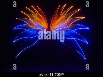 Une installation lumineuse au néon vibrante ressemblant à des ailes de papillon ou à des pétales de fleurs abstraites brille sur un fond noir. Le symétrique... Banque D'Images