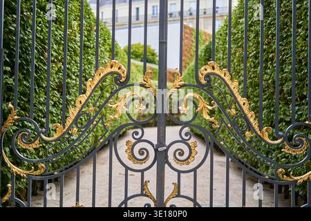 Un portail en fer forgé orné de feuilles d'or à volutes décoratives complexes est fermé et encadré de haies vertes bien entretenues Banque D'Images