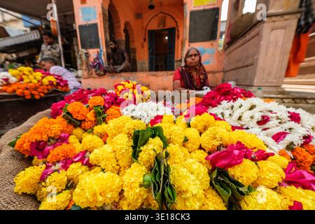 De grandes piles de soucis jaunes et oranges à vendre sont exposées au premier plan d'un marché aux fleurs situé dans les rues animées de Pushkar. Banque D'Images