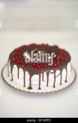 Gâteau au chocolat avec décoration de baies et glaçage goutte à goutte présenté sur une assiette, gâteau à la crème au chocolat, gâteau à la crème au chocolat Banque D'Images