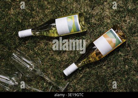 Deux bouteilles de vin avec des verres à vin dispersés sur une pelouse ensoleillée, vibrations de pique-nique Banque D'Images
