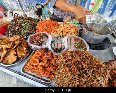 Vendeur de nourriture de rue au Cambodge vendant une variété d'aliments exotiques frits, assortiment d'insectes frits, sauterelles et coléoptères, serpent séché. Phnom Penh Banque D'Images