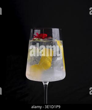 Gin sophistiqué et tonique dans un grand verre, accompagné d'une bouteille, garnie d'agrumes et d'une fleur rouge Banque D'Images
