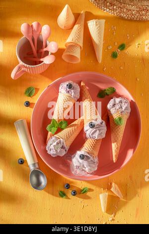 Savoureuse crème glacée aux myrtilles maison avec fruits et crème. Crème glacée à base de crème et de bleuets. Banque D'Images
