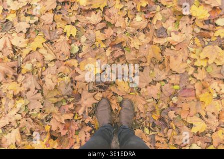 Coup de frais généraux de l'homme debout sur les feuilles d'automne et chaussures marron Banque D'Images