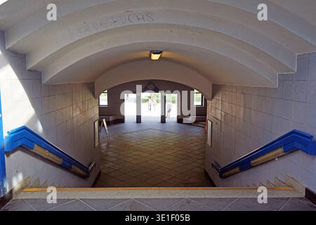 Station de S-Bahn de Treptower Park, chemin de fer de banlieue avec verrière en acier bleu, trains rouges, tunnel carrelé et façade Art Nouveau, Berlin, Allemagne, juillet 2018. Banque D'Images