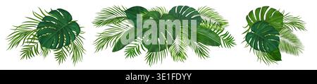 Feuillage tropical vert réaliste avec monstères exotiques et frondes de noix de coco. Feuilles de palmier tropicales vibrantes. Vector jungle verdure pour la fête d'été Illustration de Vecteur