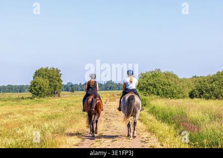 Cavaliers féminins sur des chevaux dans un paysage d'été ensoleillé Banque D'Images