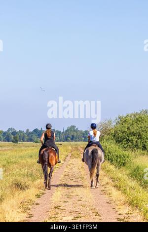 Cavaliers avec des chevaux sur un chemin dans un paysage rural Banque D'Images