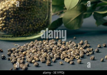 Diverses épices dispersées sur un fond sombre avec des bouquets d'herbe, des feuilles de laurier, des baies et d'autres épices pour la cuisson parfumées de l'est et du Midweste Banque D'Images