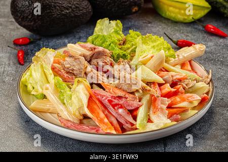 Salade de pâtes appétissante avec thon et légumes dans une sauce crémeuse. La vue de haut en bas sur un arrière-plan sombre met en évidence les couleurs fraîches rouge, vert et beige. P Banque D'Images
