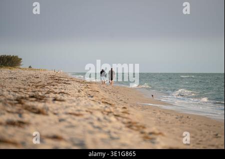 Père et fils marchant le long d'une plage de sable tranquille près de l'océan Banque D'Images