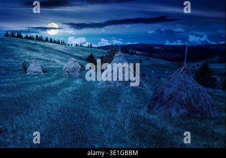 merveilleuses meules de foin dans une rangée sur un champ de foin herbeux la nuit. pleine lune sur de beaux paysages ruraux avec pâturages en été. mystérieux lan agricole Banque D'Images